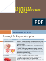 Patologi Sistem Reproduksi Pria