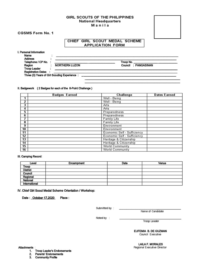 Chief Girl Scout Medal Application Form | PDF