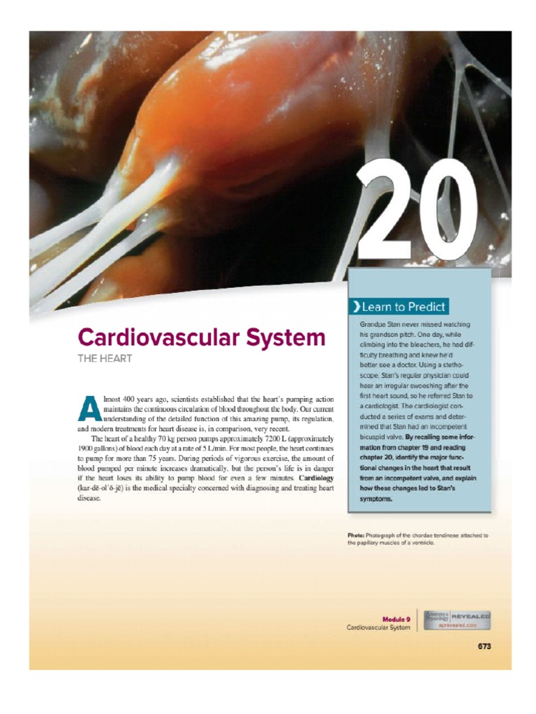 Cardiovascular System Insights | PDF | Diastole | Ventricle (Heart)