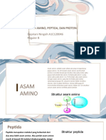 Asam Amino, Protein, Peptida