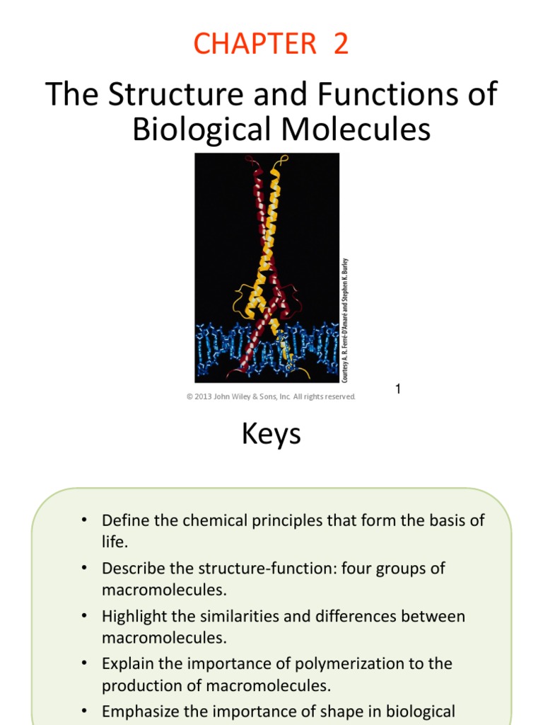 Chapter 2 The Structure and Functions of Biological Molecules, Biols300