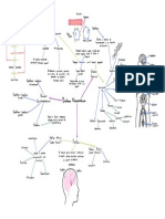 Esquema Sistema Neuroendocrino