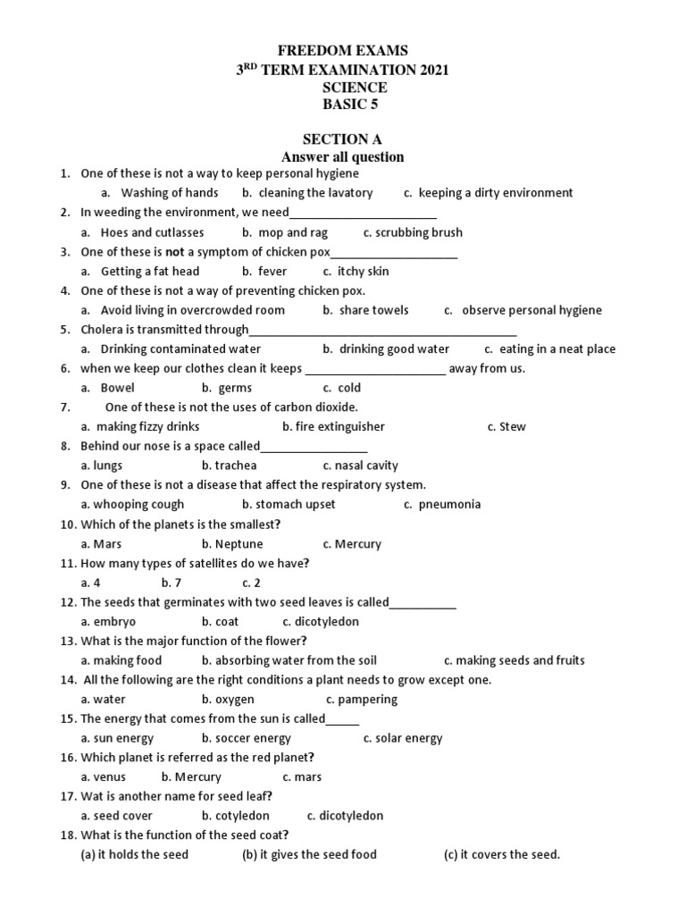 TERM 3 B5 SCIENCE (Another Set) | PDF | Seed | Water