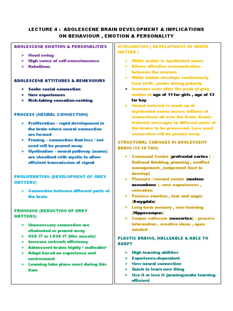 Adolescent Brain Development Insights | PDF | Adolescence | Brain
