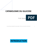 3.catabolisme Du Glucose