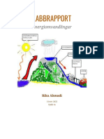 Labbrapport Energiomvandlingar