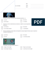 Друк Тесту - Організм Людини Як Біологічна Система