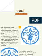 Food and Agriculture Organization