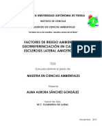 Factores de Riesgo Ambiental Y Georreferenciación en Casos de Esclerosis Lateral Amiotrófica