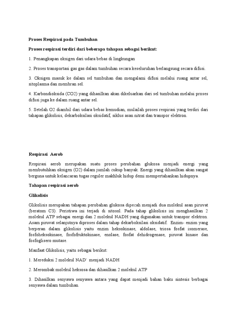 Proses Respirasi Pada Tumbuhan | PDF
