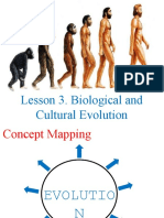 Lesson 3: Biological and Cultural Evolution Concept Mapping