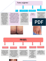 Larva Migrans y Miasis