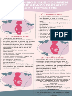 Purple Feminine Stylish Pregnancy Advice Steps Infographic