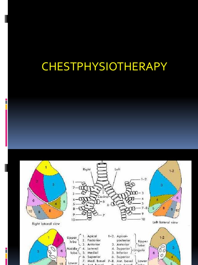 Chest Physiotherapy 2019 Pdf Lung Chronic Obstructive Pulmonary
