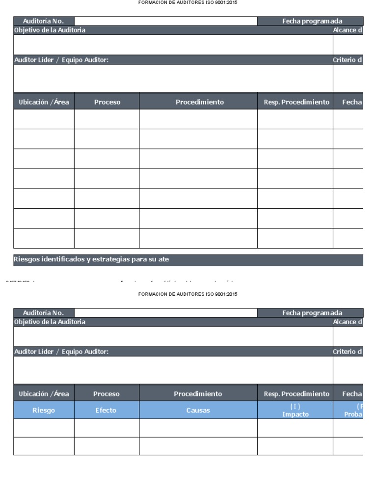 Plantilla Plan Auditoria Interna de Calidad Iso 9001 2015 | PDF ...