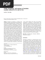 Download Origin Morphology And Anatomy of Fascia Ti On in Plants Cultured in Vivo and in Vitro 2011 by clebersaldanha SN60683525 doc pdf