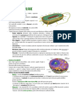 Teoria Cellulare