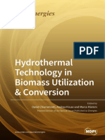 Hydrothermal Technology in Biomass Utilization Conversion