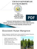 Ekosistem Hutan Mangrove-123