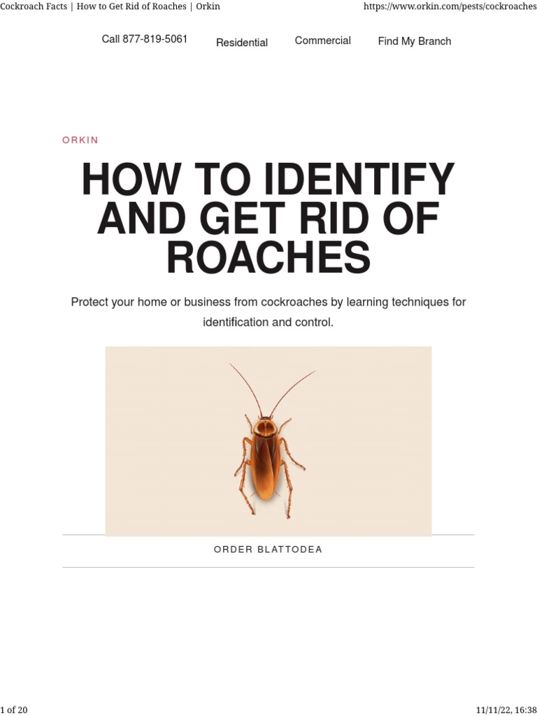Cockroach Facts How To Get Rid of Roaches Orkin PDF Pest