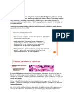 Anato y Fisio de Vit B12