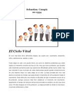 Desarrollo Del Ciclo Vital