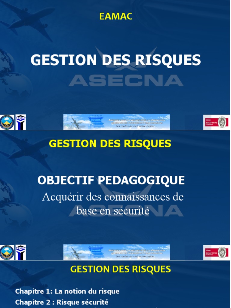 Cartographie des Risques selon ISO 31000 | PDF | Risque | Gestion des ...