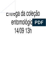 Entrega Da Coleo Entomolgica