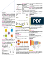 Cheat Sheet Option 03