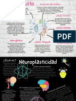 Cerebro, Neurona, Apego y Drogas