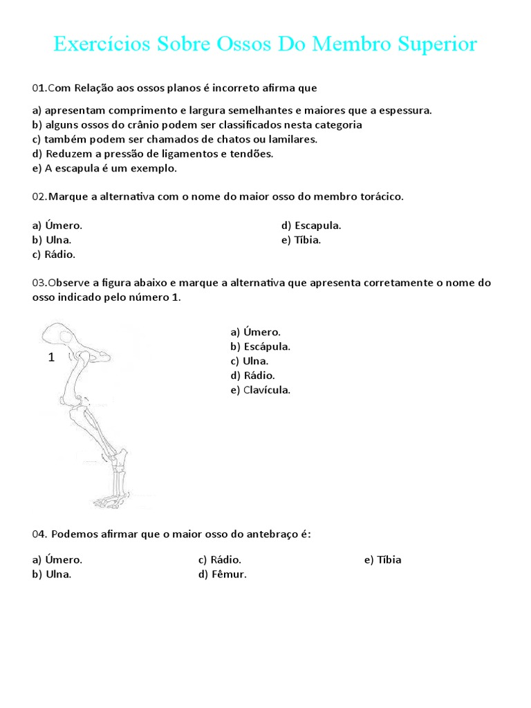 Exercícios Sobre Ossos Do Membro Superior Pdf Osso Membros Anatomia