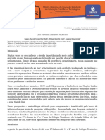 9962-Texto Do Artigo-40115-1-10-20181004