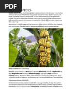 Banana Taxonomy and Classification | PDF | Banana | Plants