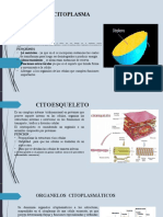 4.-Organelos Celulares