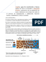 Apuntes de Agua Higroscopica y Fuerza Matrica