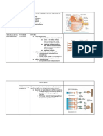 Visión: anatomía, fotorreceptores y transducción de señales