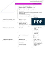 Esquema Etapas Desarrollo