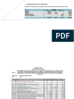 Presupuesto Analitico