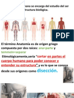 Anatomia - Modulo Introductorio