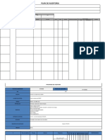 Plan y Programa de Auditoria