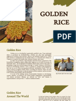 Golden Rice