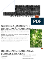 Trabalho Homem - Natureza