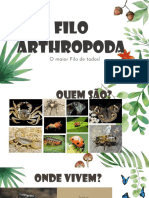 Artropoda 1 - Chelicerata