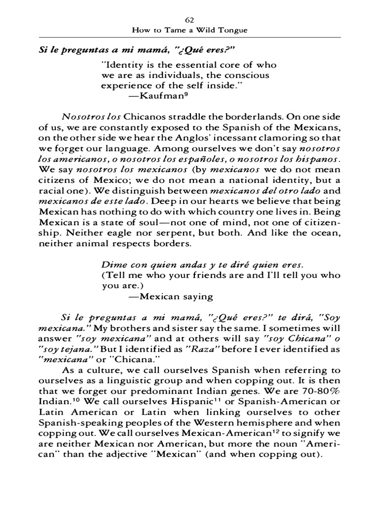 Anzaldua Todos PDF Chicano The United States
