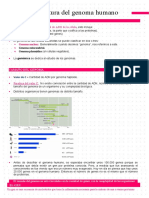 Taller 2 - Genoma Humano