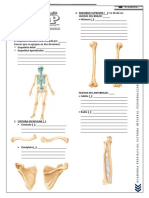 Semana 5 - Sistema Óseo Ii