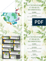 ACCIONES PARA CUIDAR EL ECOSISTEMA