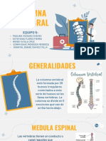 Columna Vertebral