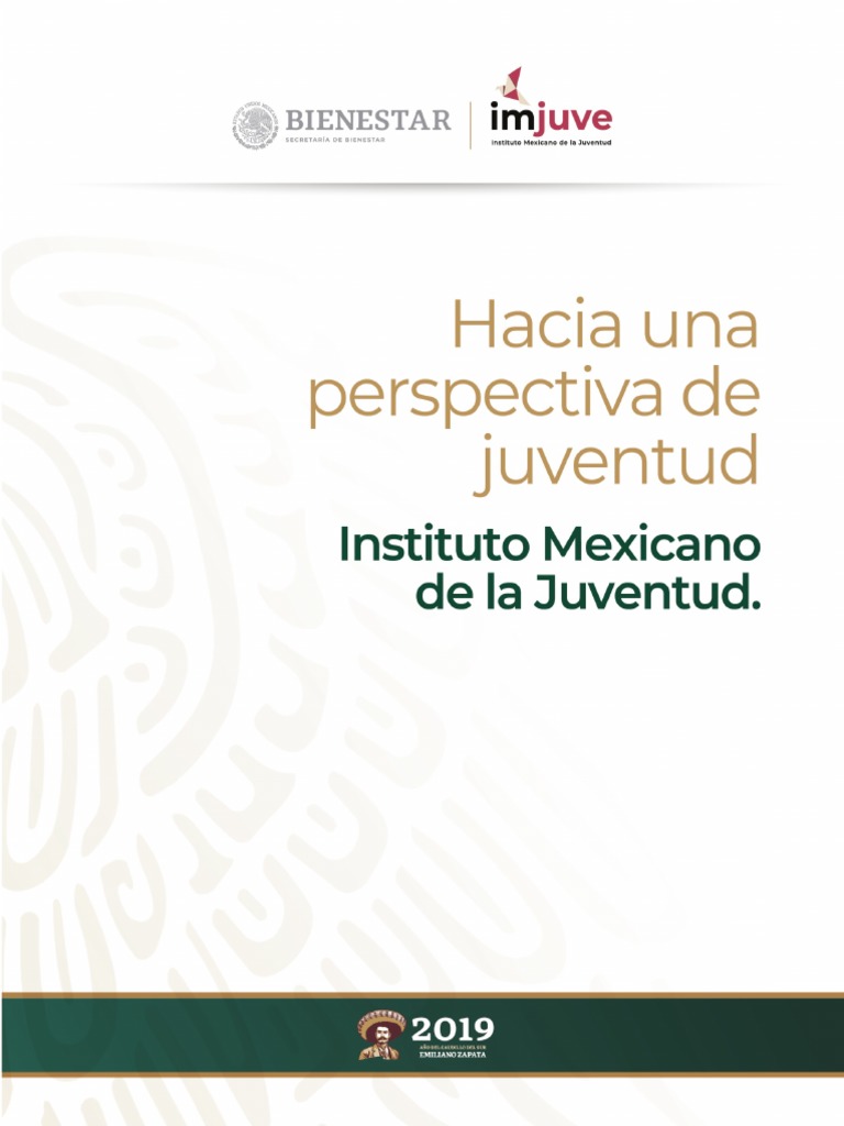Hacia Una Perspectiva de Juventud PDF Interculturalidad Juventud