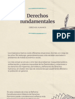 Derechos Fundamentales